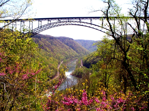 NRG bridge view in Spring.JPG